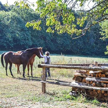 Tatil Evi Beautiful In En Champagne Domfront-en-Champagne