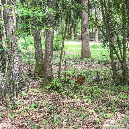 Tatil Evi Beautiful In En Champagne *