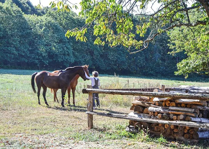 Casa de Férias Beautiful In En Champagne Domfront-en-Champagne