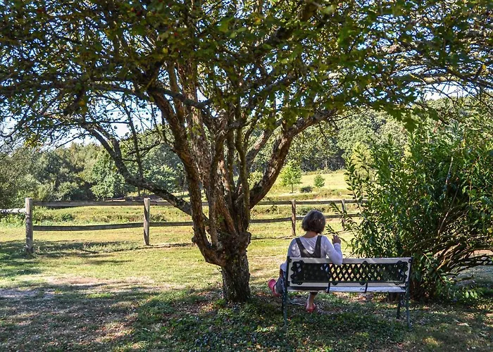 Casa de Férias Beautiful In En Champagne *