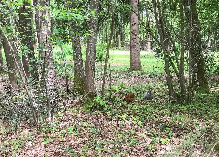 Vakantiehuis Beautiful In En Champagne *